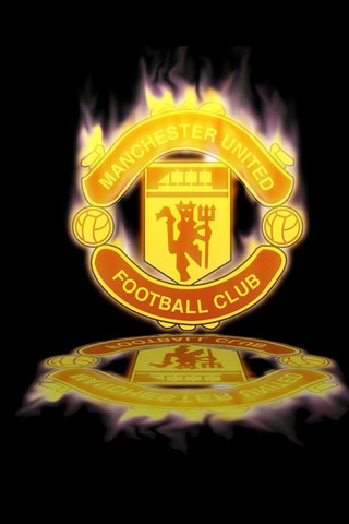 步入冰球的 步入冰球的